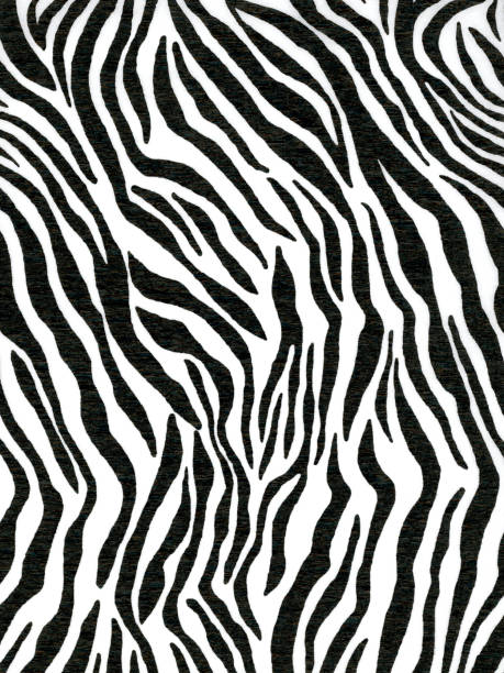 krepp-papier gemacht von tierischen zebramuster für tapeten oder hintergründe - safari animals animal feline undomesticated cat stock-fotos und bilder