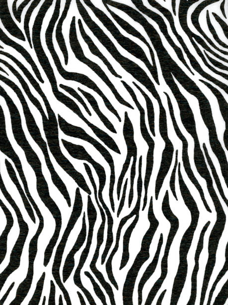 istock Crepe paper made of zebra animal pattern for wallpaper or backgrounds 908730032