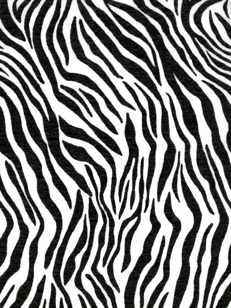 Photo of Crepe paper made of zebra animal pattern for wallpaper or backgrounds