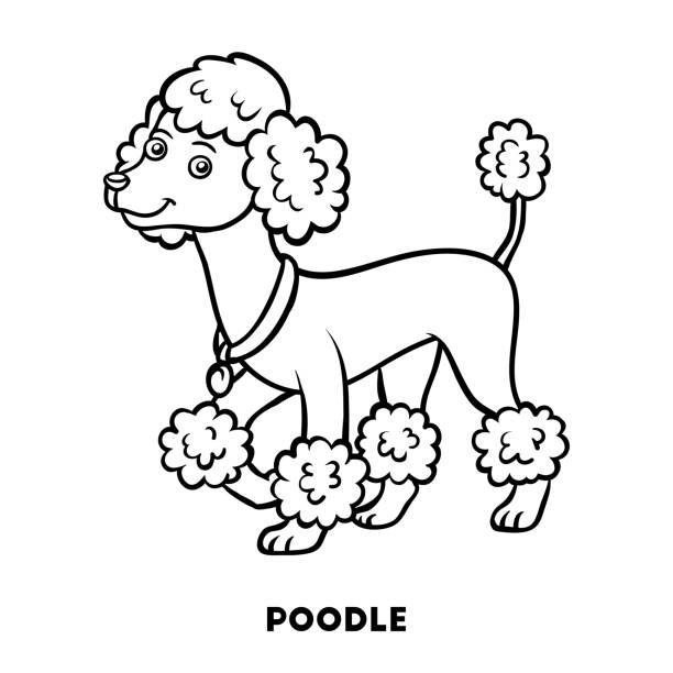 Coloring Book Dog Breeds Poodle Stock Illustration - Download Image Now -  Cartoon, France, Poodle - iStock