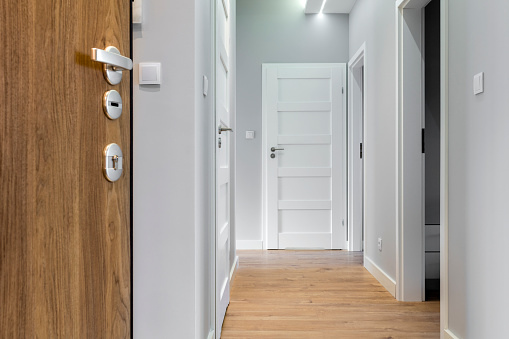 Corridor with wooden floor in modern apartment