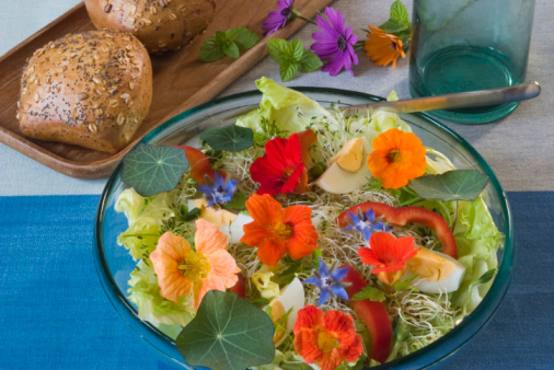 Edible flowers salad on a plate