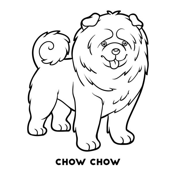 illustrations, cliparts, dessins animés et icônes de livre de coloriage, dog breeds : chow chow - 6005