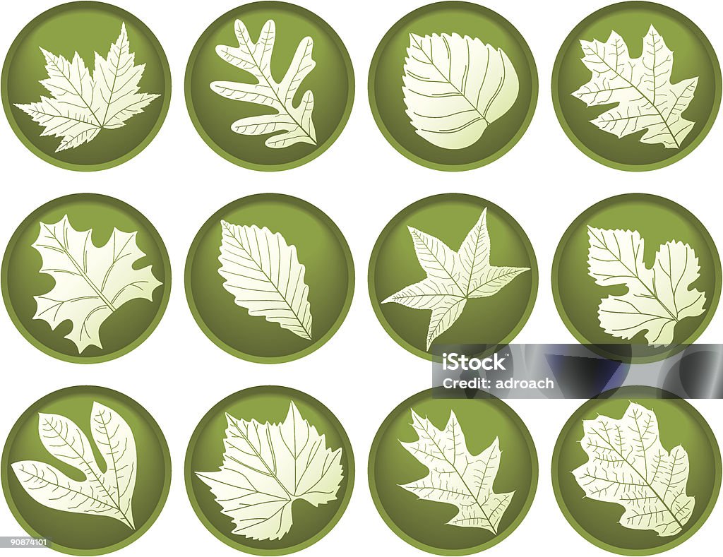 Twelve Leaf Buttons  Cottonwood Tree stock vector