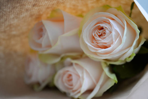 istock Bouquet of roses 908745256