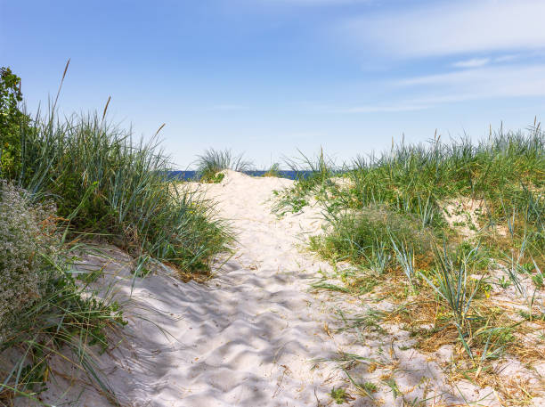 istock A narrow sandy pathway to the seashore. Curonian Spit. Russia 908749246