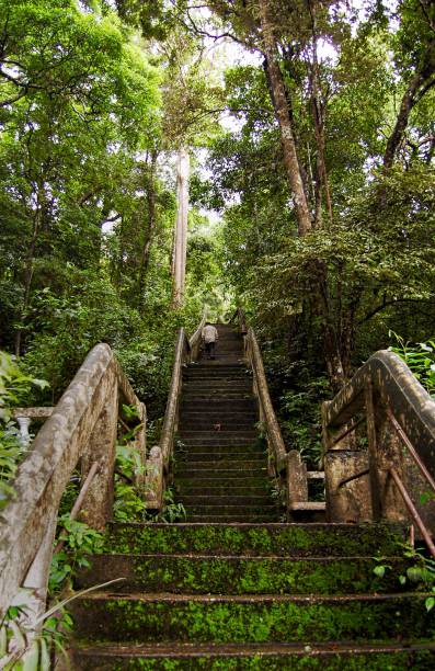 istock Stairs to Phra That Phu Pek 908759278