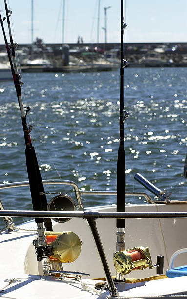 istock Fishing in the ocean 90877728