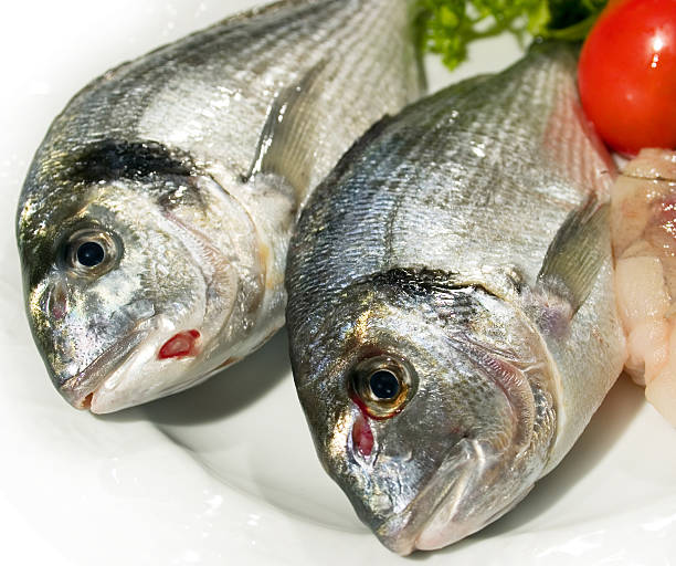 Pescado fresco - foto de stock