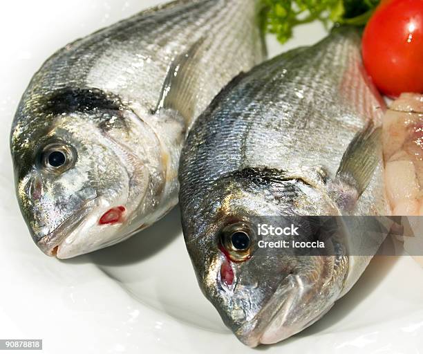 Fresco Peixes - Fotografias de stock e mais imagens de Captura de Peixe - Captura de Peixe, Cuidados de Saúde e Medicina, Estilo de vida saudável
