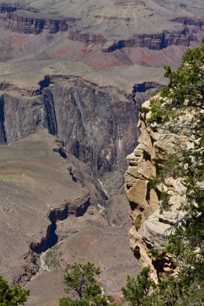 istock Grand Canyon National Park 908793100