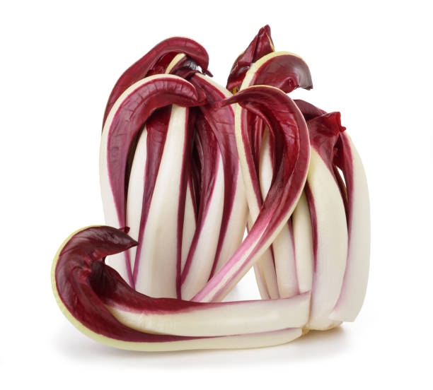 Radicchio Rosso of Treviso Radicchio, red Treviso chicory isolated on white radicchio tardivo stock pictures, royalty-free photos & images
