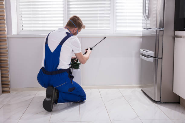 istock Exterminator Worker Spraying Insecticide Chemical 908801702