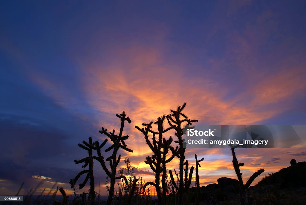 Espectacular cielo al atardecer en el desierto - Foto de stock de Aire libre libre de derechos