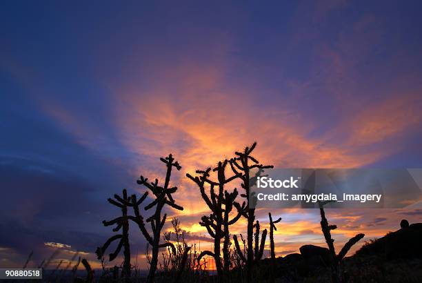 Foto de Dramático Pôr Do Sol No Deserto e mais fotos de stock de Albuquerque - Novo México - Albuquerque - Novo México, Amarelo, Azul