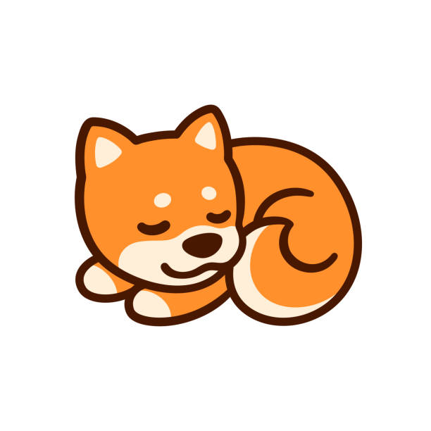Cartoon Shiba Inu Puppy Stock Illustration - Download Image Now - Dog,  Curled Up, Icon - iStock