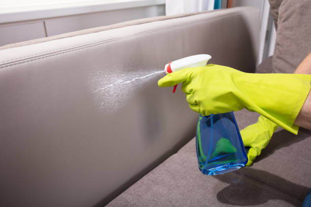 istock Person Cleaning Sofa With Spray Bottle 908807076