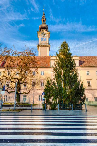 istock Country house tower in Linz 908807704