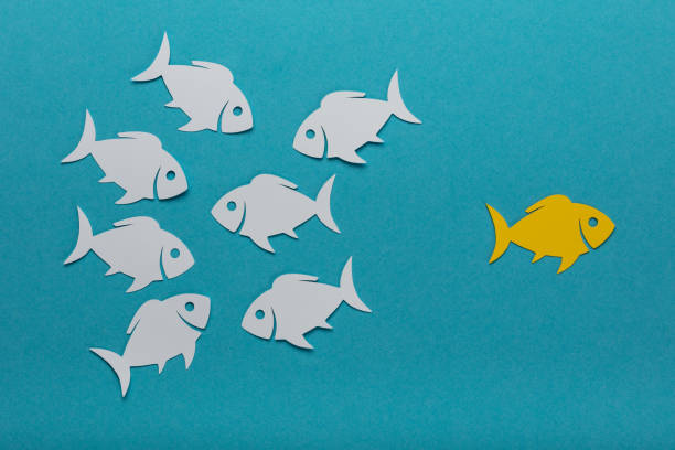 istock Yellow Fish With White Paper Fishes 908815282