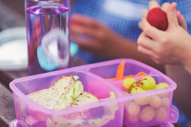 alunas de comer um almoço saudável. - lunch box child school lunch - fotografias e filmes do acervo