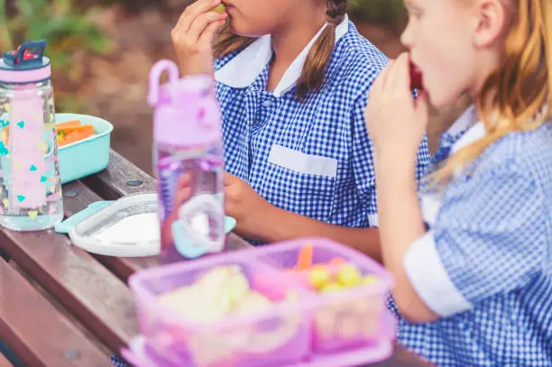 Schoolgirls eating a healthy lunch. They have a lunch box with vegetables and fruit and a lettuce and chicken sandwich. They are wearing school uniforms.