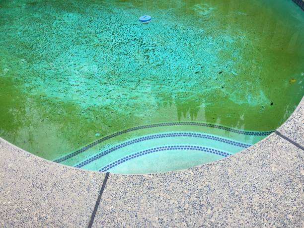 istock Dirty swimming pool water 908821558