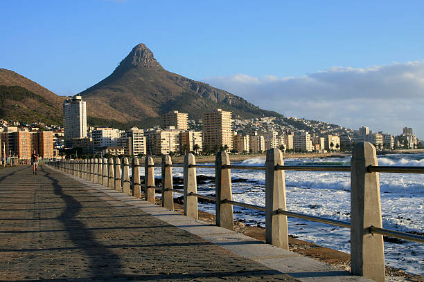 testa di leone in città del capo, sudafrica - sea point foto e immagini stock