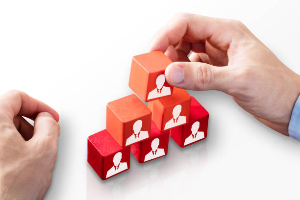 istock Person Building Blocks Of Team 908827752