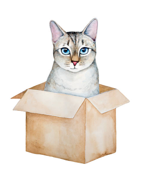 판지 상자에 앉아 귀여운 줄무늬 고양이입니다. - cat box stock illustrations