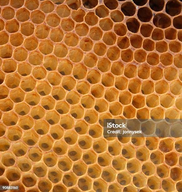 Honey Structure Stock Photo - Download Image Now - Abstract, Agriculture, Animal