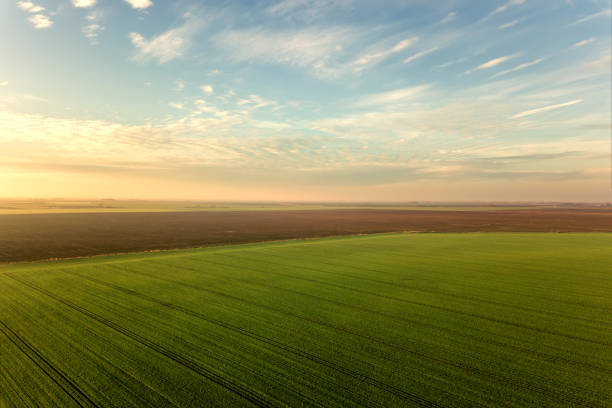 vue aérienne de nuages au-dessus dans des champs agricoles verts. - farm fields photos et images de collection