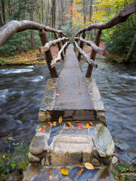 발 다리-그레이트 안개 자욱한 산맥-cataloochee - north carolina mountain river autumn 뉴스 사진 이미지