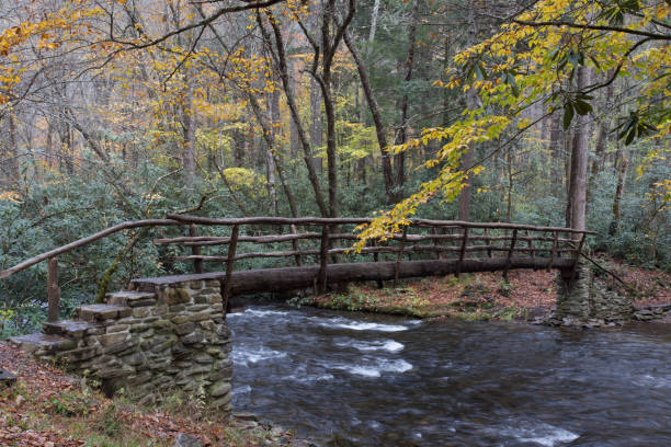 istock Foot bridge - Great Smoky Mountains - Cataloochee 908843590