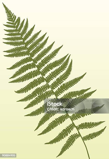 Fern Frond Stock Illustration - Download Image Now - Botany, Bush, Color Image