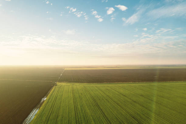 istock Aerial view Clouds over over green agricultural fields. 908868026