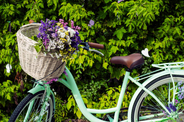 istock Bicycle with basket of flowers Limonium 908871072