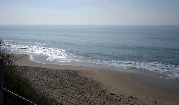 istock A Sunny Day at Crystal Cove Beach 908877428