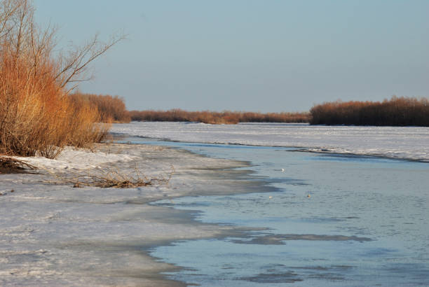 istock Spring on the Irtysh, Omsk region 908888080