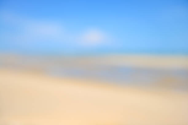istock Blurred background of Nature scene tropical beach and blue sky 908891332