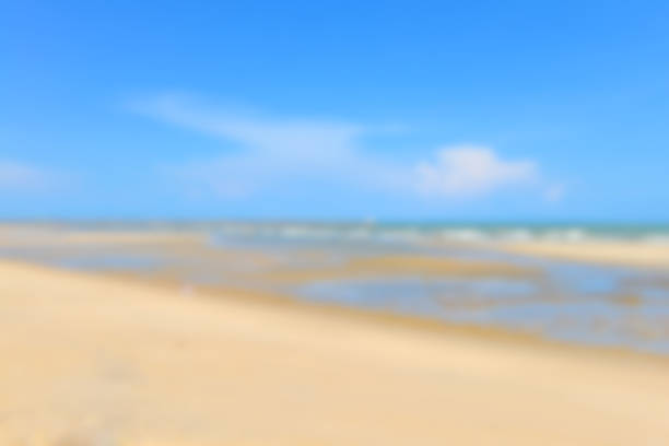 istock Blurred background of Nature scene tropical beach and blue sky 908891368