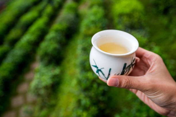 istock Tea in a cup with garden field as a background 908897754