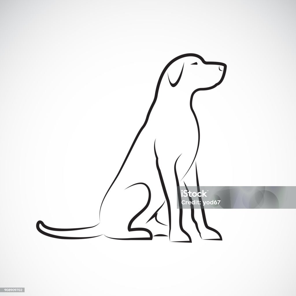Vector of a labrador retriever dog on a white background. Pet. Animal. Easy editable layered vector illustration. Dog stock vector