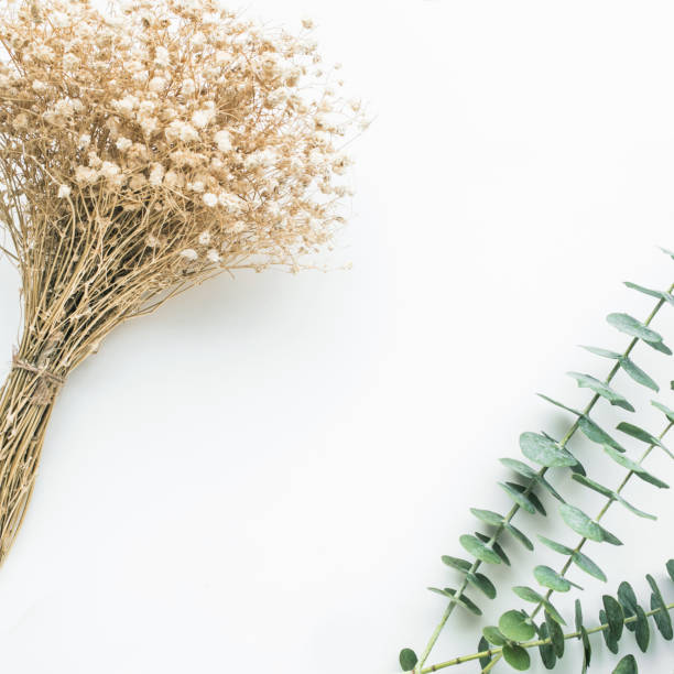 istock Dry branch bouquet flower with eucalyptus on white 908917026