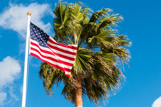 American Flag flying on Camp Smith, Oahu, Hawaii next to a palm tree.