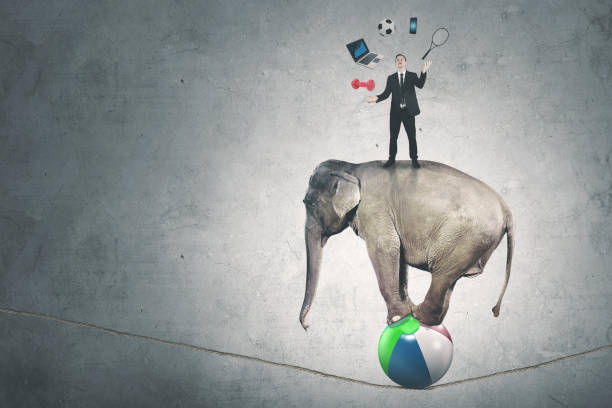 istock Male manager juggling with many objects above elephant 908924052