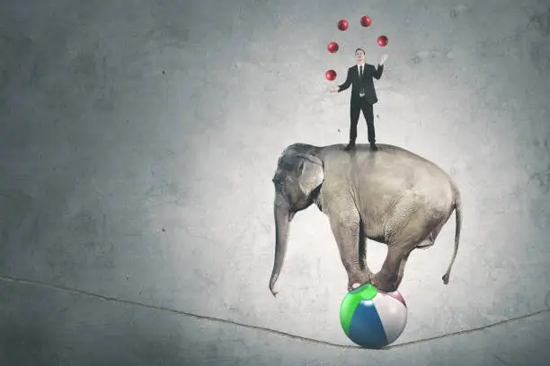 Portrait of a male manager juggling with many red balls while standing above circus elephant