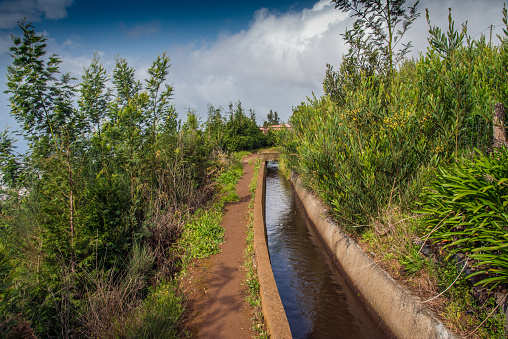 Levada, trails and surroundings. Leavdas are irrigation channels specific to the island of Madeira.