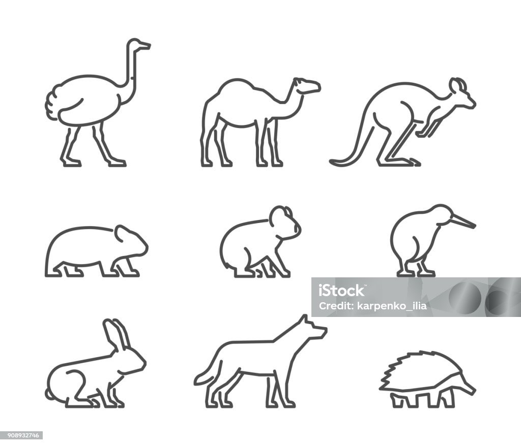 Vector set of linear Australian animals Vector set of linear Australian animals. Line icon koala, kangaroo, echidna, kiwi and other. Icon Symbol stock vector