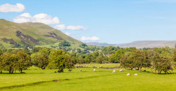 istock Yorkshire Dales Agricultural Landscape 908932990