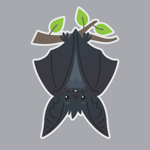 Bat Handing Upside Down On Branch Vector Illustration Of Bateared Grey  Creature With Closed Wings In Flat Style With Silhouette Syblayer Sticker  Print Design Cute Halloween Bat Vampire Icon Stock Illustration -